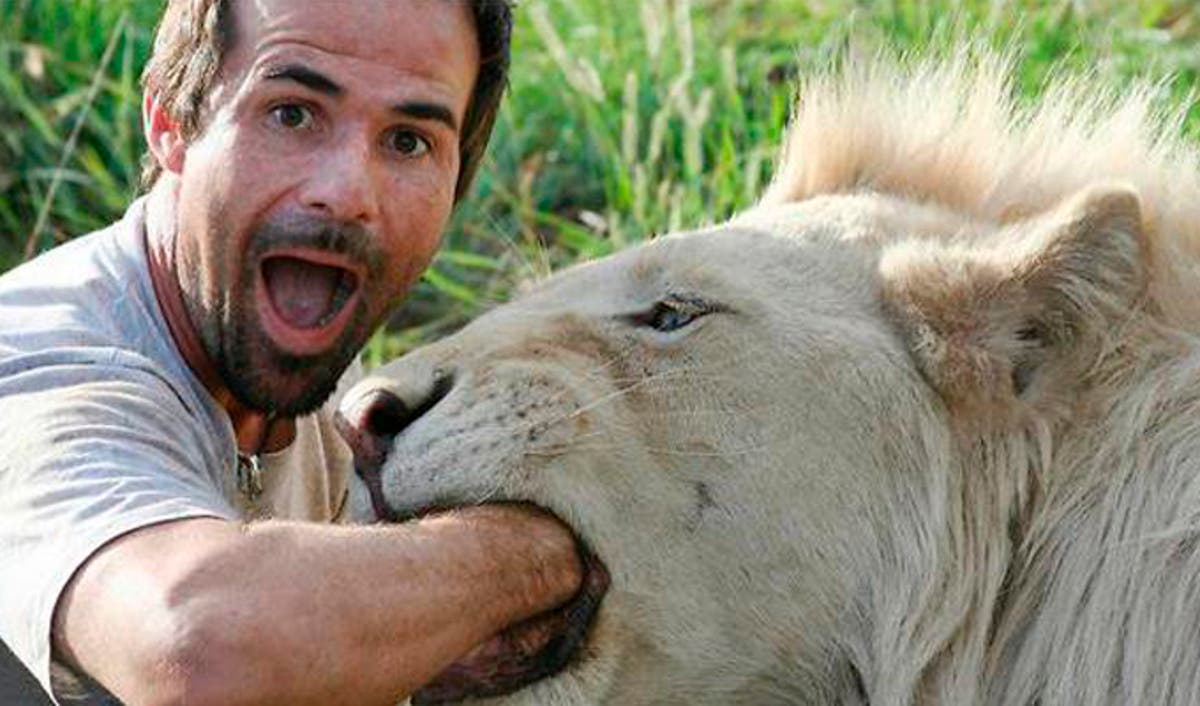 La arriesgada profesión de dentista de leones |...